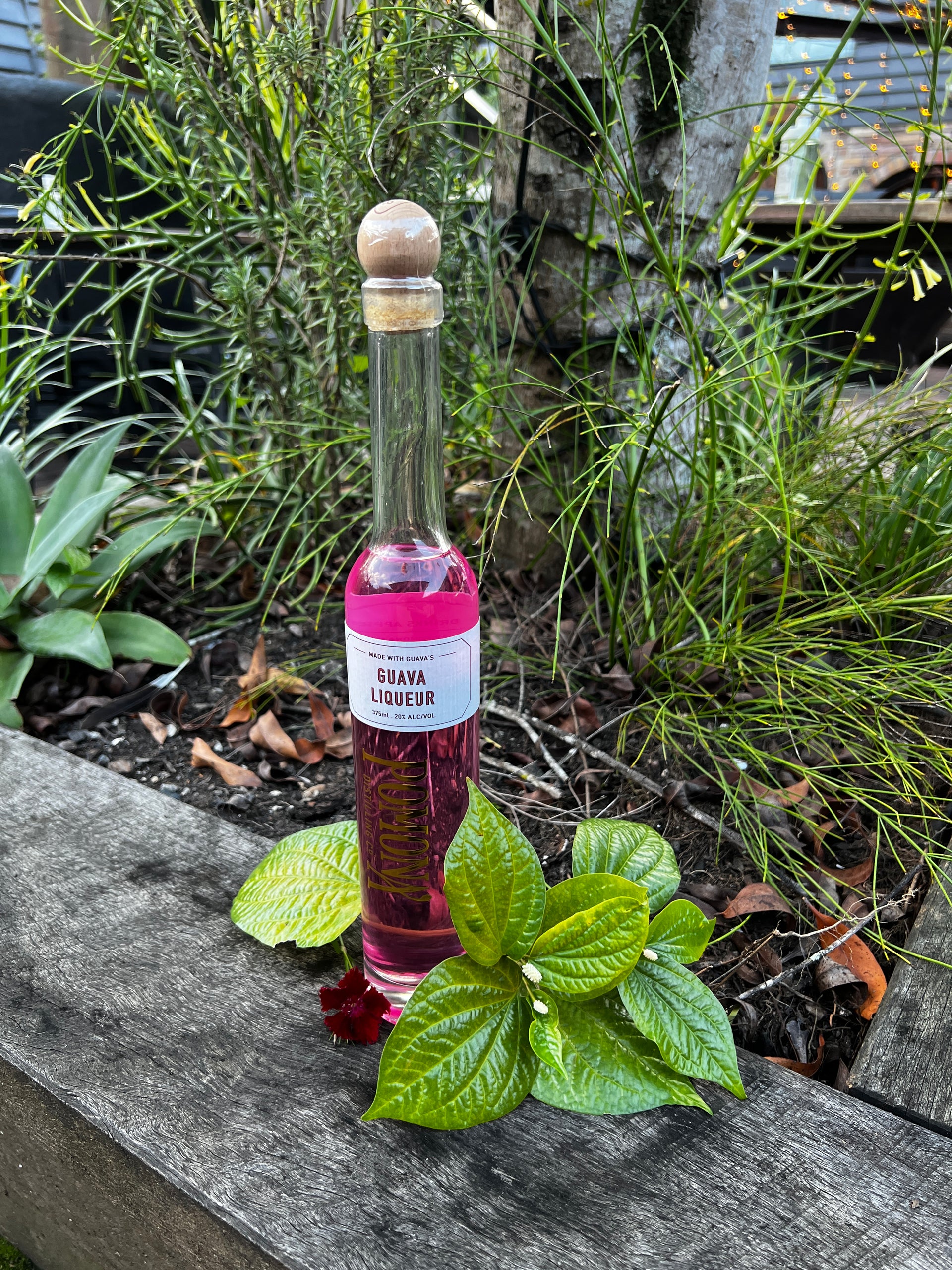 Guava Liqueur